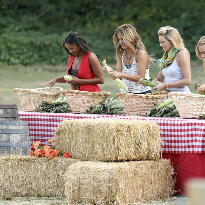 THE BACHELOR -