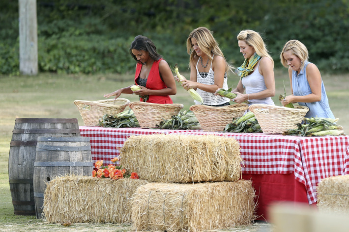 THE BACHELOR - "Episode 1903" - Jimmy and Chris take 12 stunning bachelorettes to compete in a farm-themed relay race to see if they can handle being a farmer's wife. Included in the grueling gauntlet of farming duties are milking a goat, shoveling manure and wrestling a greased pig. To everyone's surprise, an underdog beats out a brash woman in top physical shape. Things heat up at the after party when one inebriated bachelorette confronts Chris about the number of women he is kissing. But in the end, one dignified and self-possessed charmer wins the group date rose, on "The Bachelor," MONDAY, JANUARY 19 (8:00-10:01 p.m., ET), on the ABC Television Network. (ABC/John Fleenor)AMBER, BECCA, ASHLEY S., CARLY