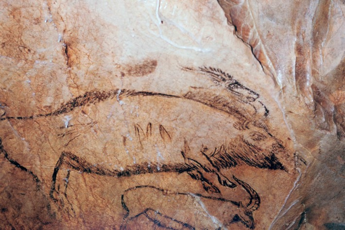 Paleolithic cave-painting of a bison and ibex in the 'Salon Noir' of the 'Grotte de Niaux'. (Photo by CM Dixon/Print Collector/Getty Images)