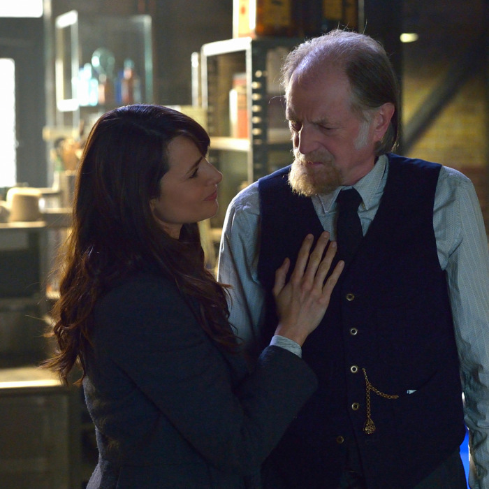 THE STRAIN --