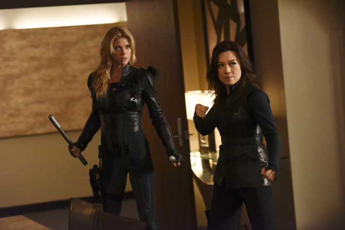 ADRIANNE PALICKI, MING-NA WEN