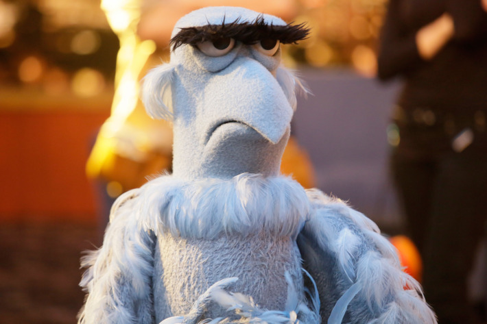 SAM THE EAGLE