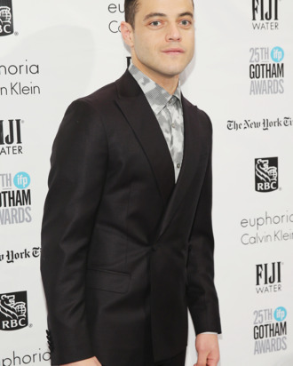 IFP's 25th Annual Gotham Independent Film Awards - Red Carpet