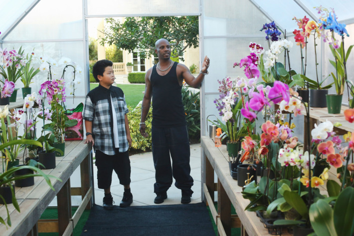 HUDSON YANG, DMX