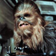 STAR WARS, (aka STAR WARS: EPISODE IV - A NEW HOPE), Chewbacca, Harrison Ford, 1977