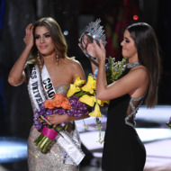 The 2015 Miss Universe Pageant