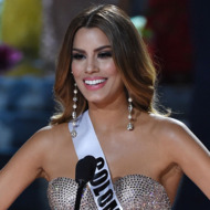 The 2015 Miss Universe Pageant