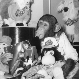 Bubbles the Chimpanzee