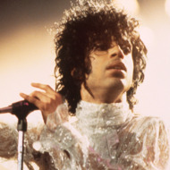Prince in Concert