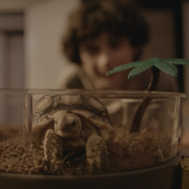 Nacho the turtle.