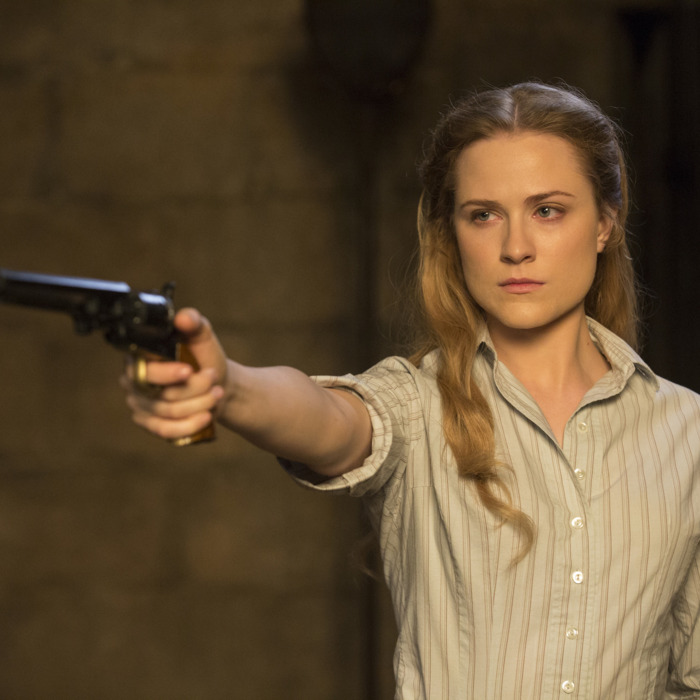 Evan Rachel Wood as Dolores.