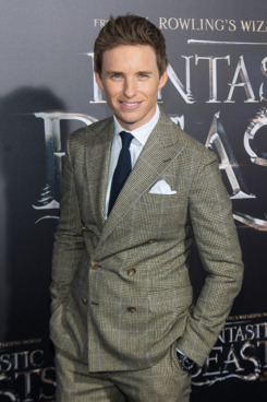 "Fantastic Beasts And Where To Find Them" World Premiere