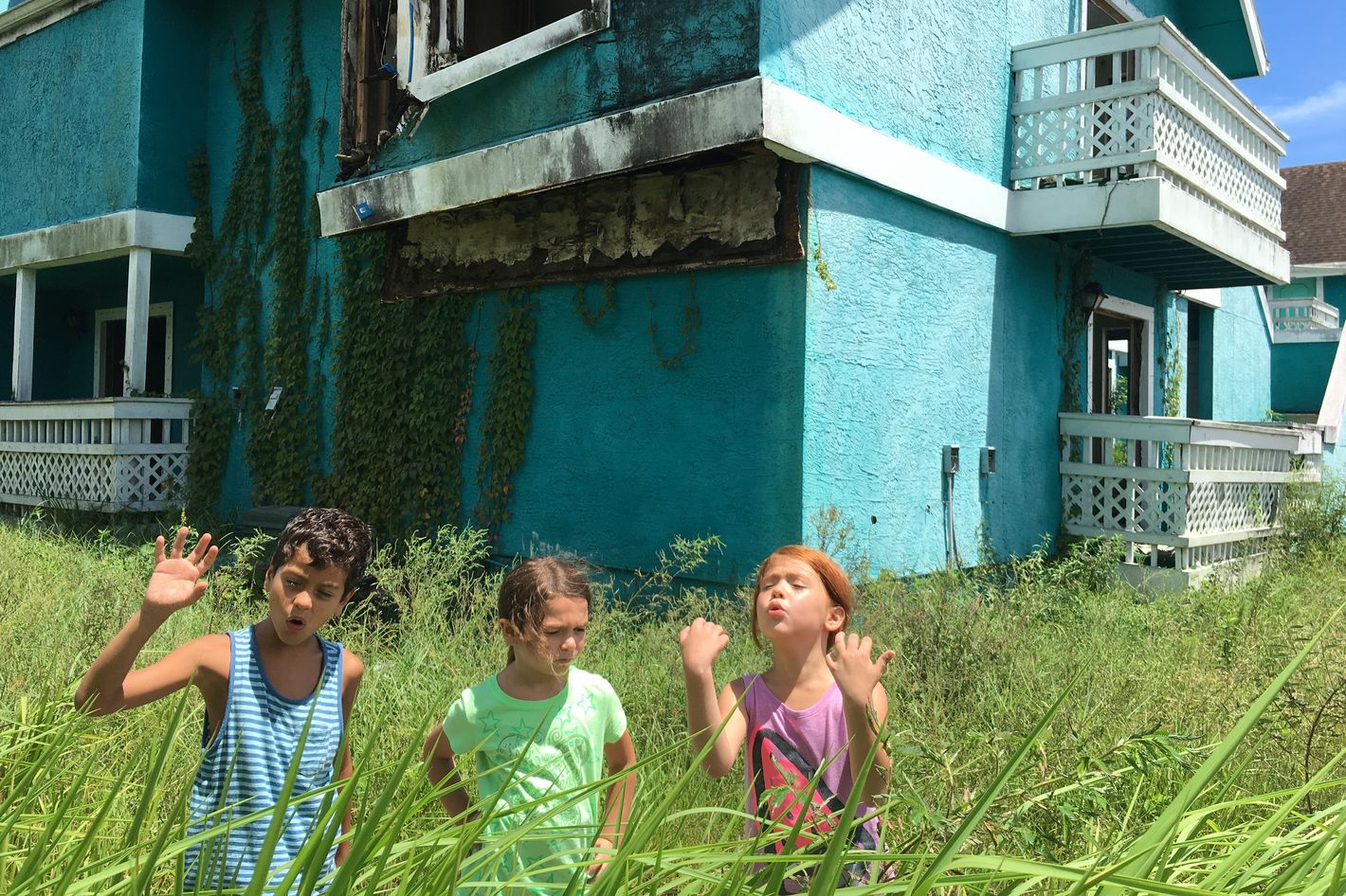 Image result for the florida project stills