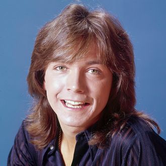 Image result for david cassidy