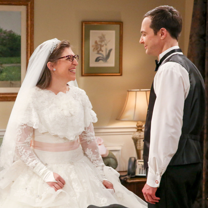 ‘the Big Bang Theory Recap Season 11 Episode 24 Finale