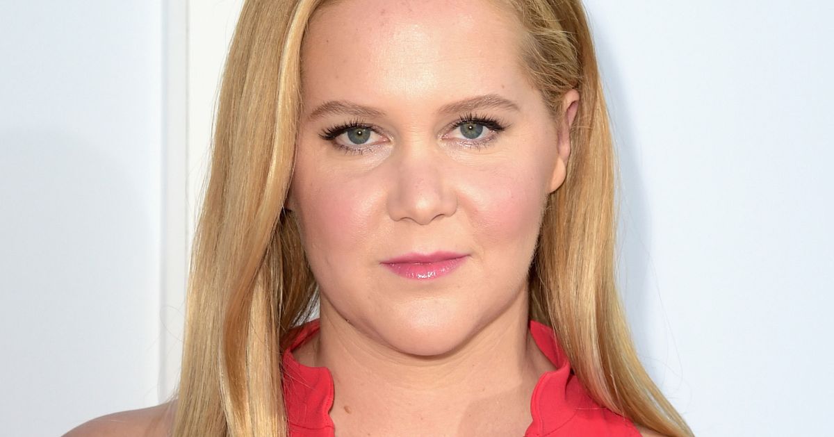 Image result for amy schumer