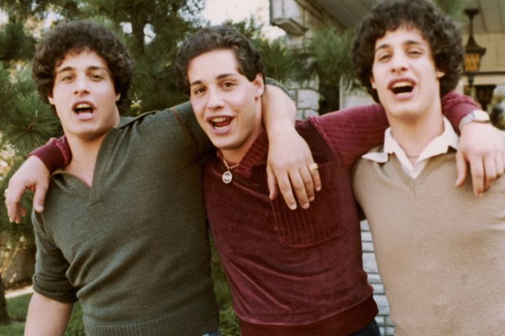 Image result for three identical strangers