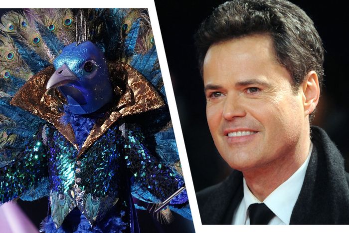 The Peacock is … Donny Osmond?