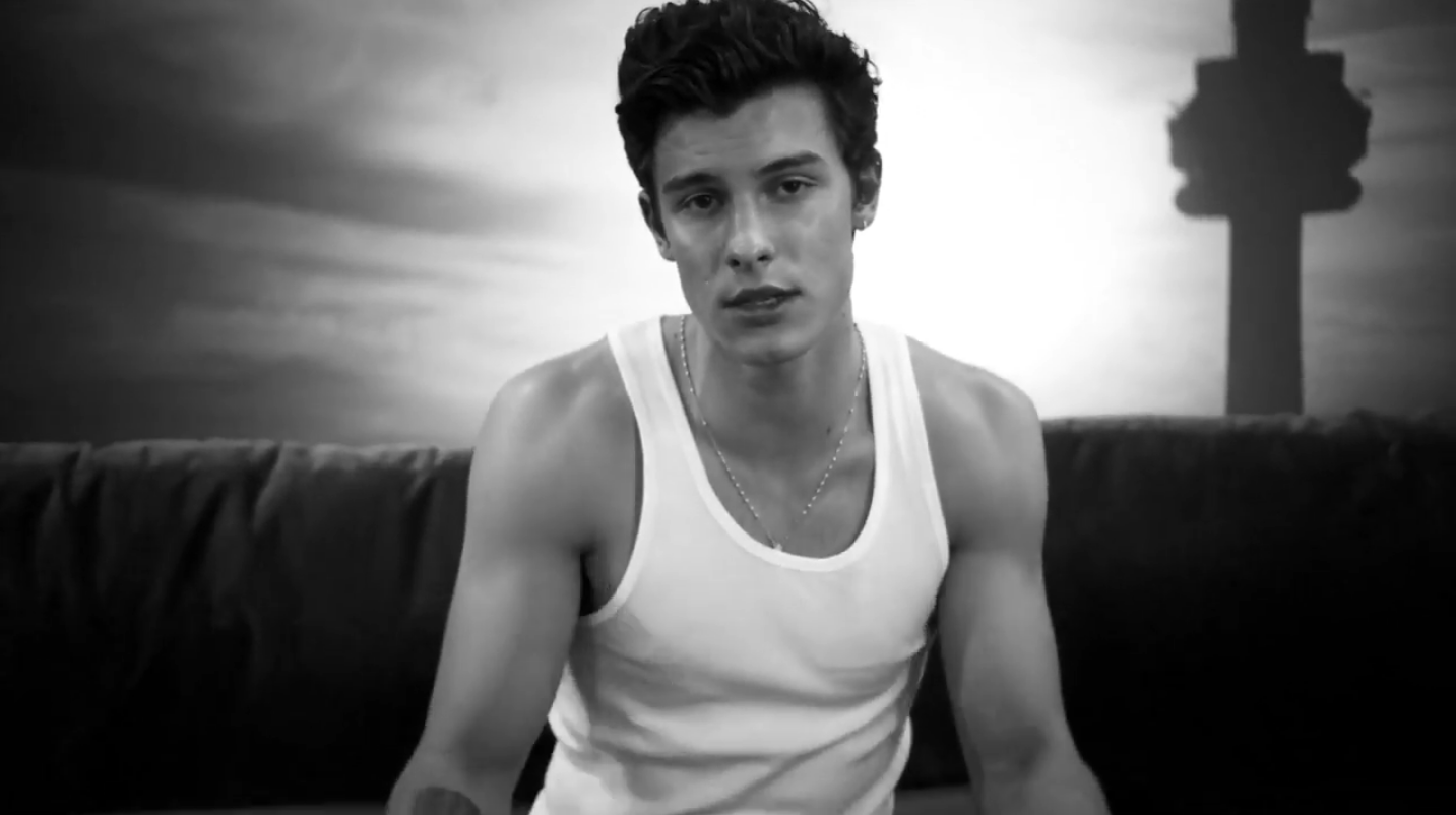 Image result for if i can't have you shawn mendes