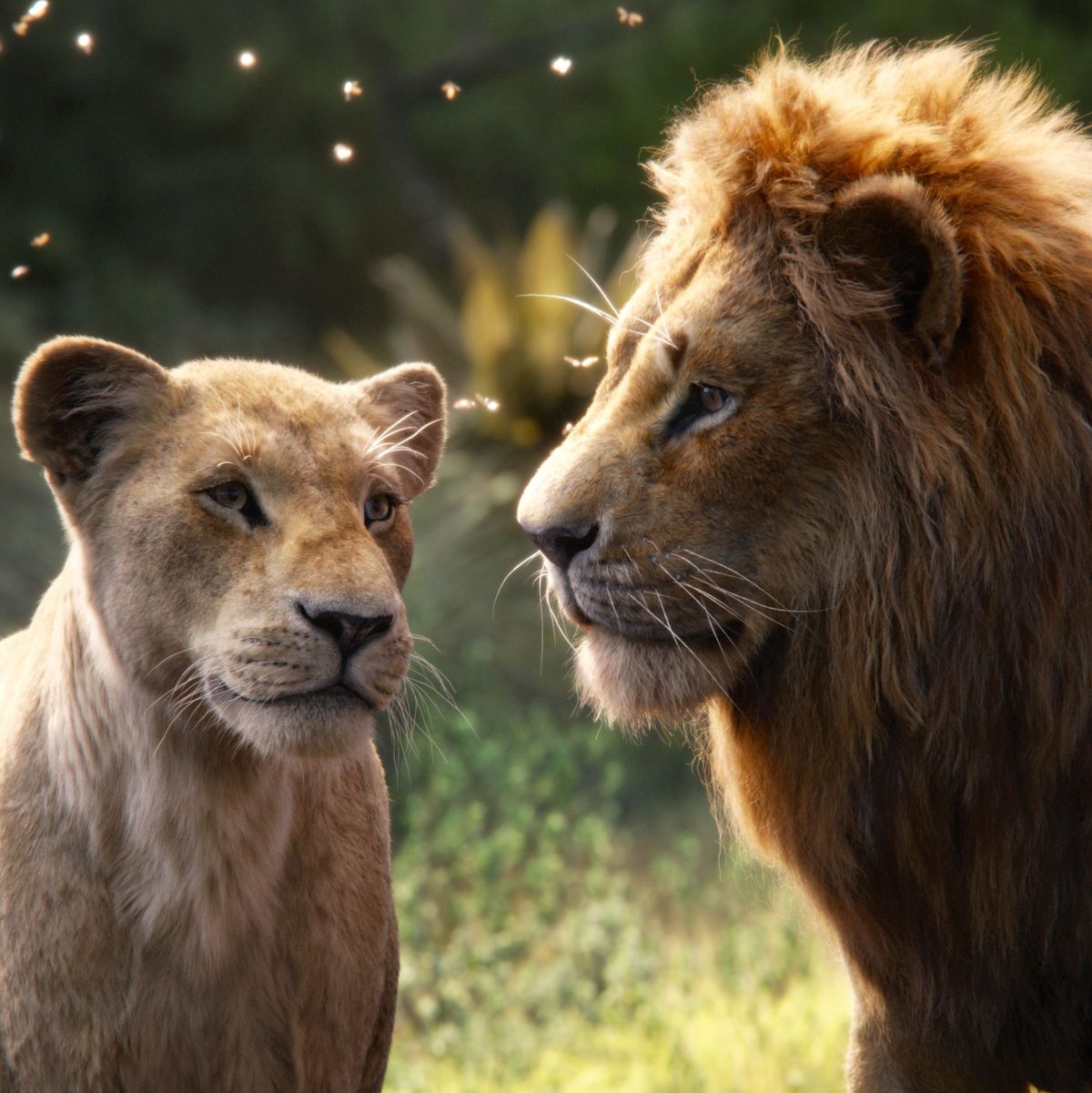 Risultati immagini per the lion king 2019
