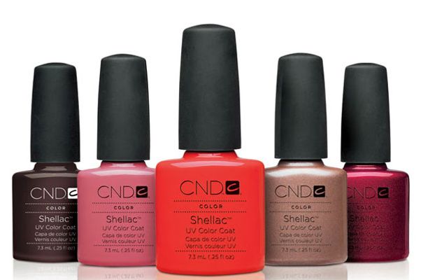 Image result for shellac