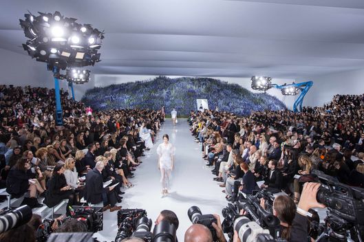 Christian Dior : Runway - Paris Fashion Week Womenswear Spring/Summer 2016