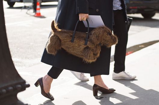 A Wiener-Dog Bag Made Me a Street-Style Star -- The Cut