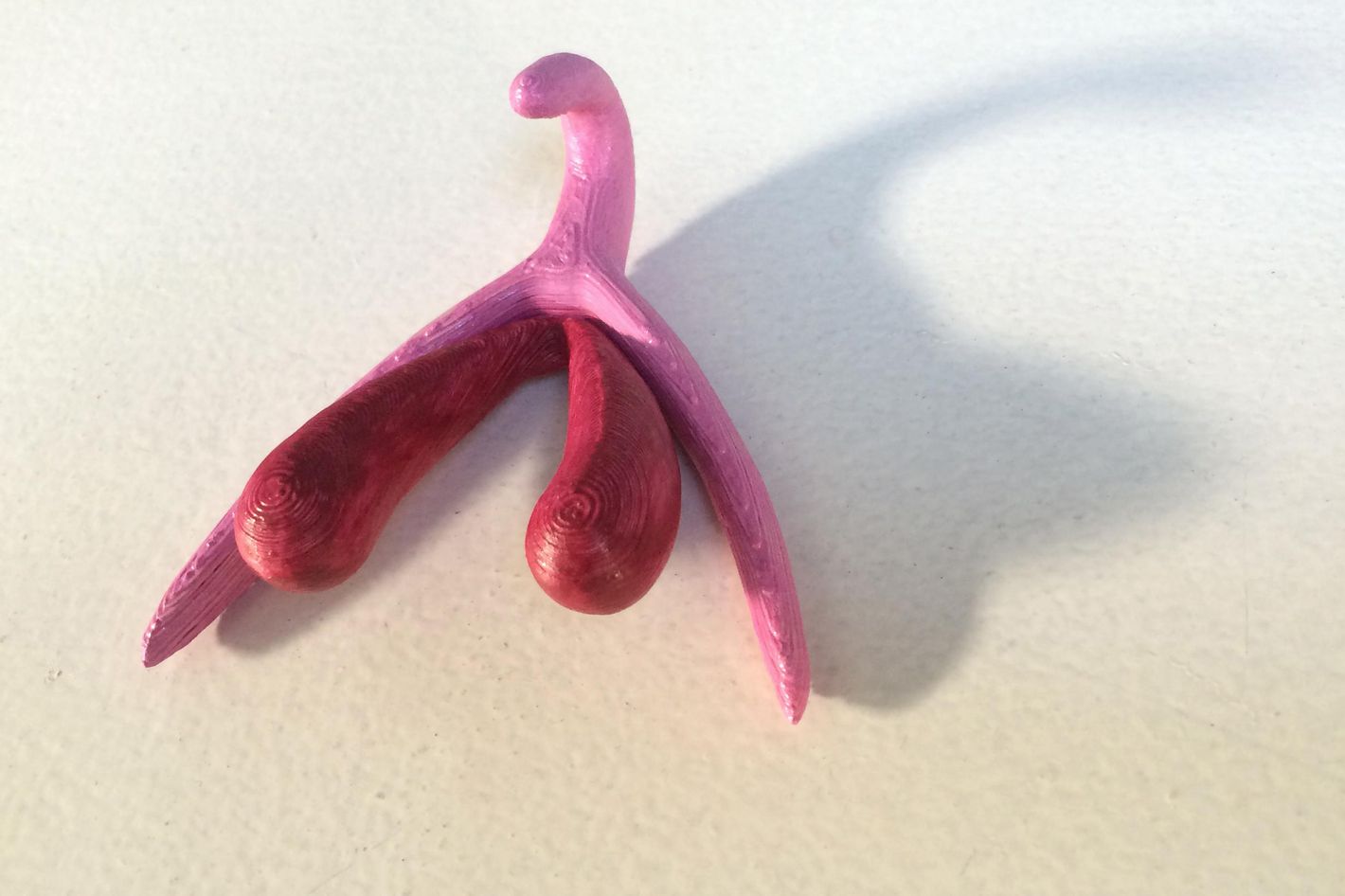 16-3d-clitoris.w710.h473.2x.jpg