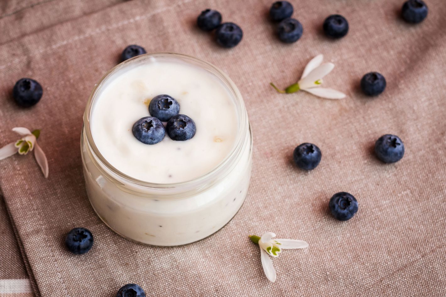homemade yogurt with blueberries