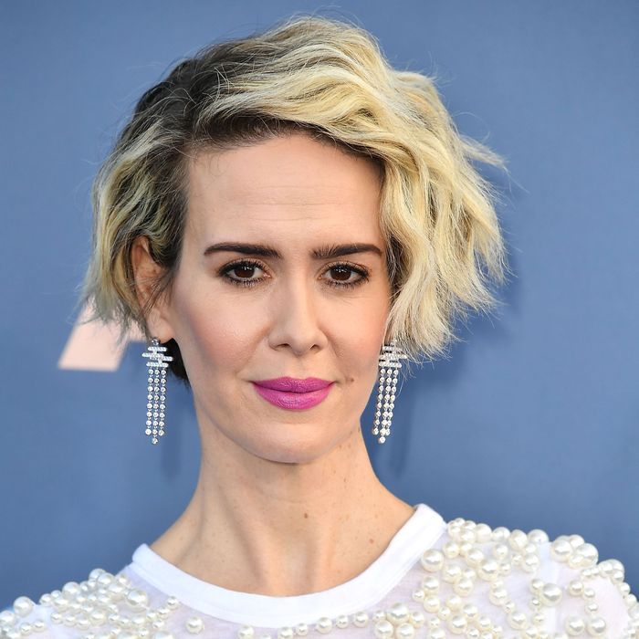 Sarah Paulson Has No Time for Questions About Cat Fights
