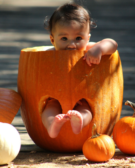 A baby in a pumpkin.