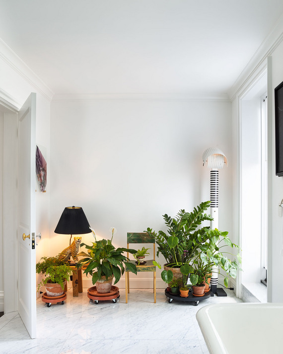 A Brooklyn Rowhouse That Preserves the Wildness Out Back