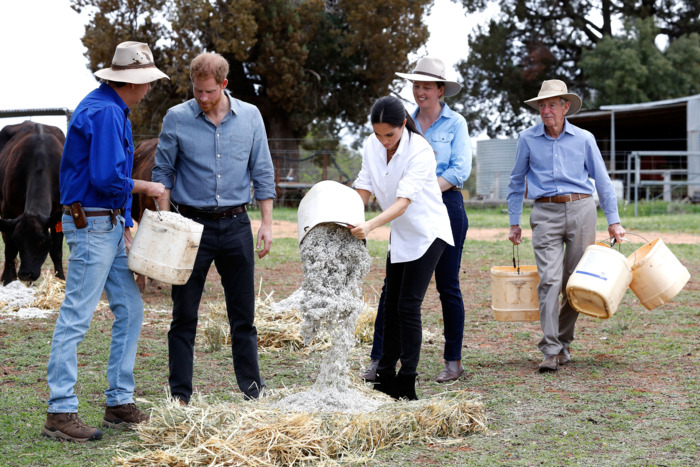Prince Harry and Meghan Markle on a farm.