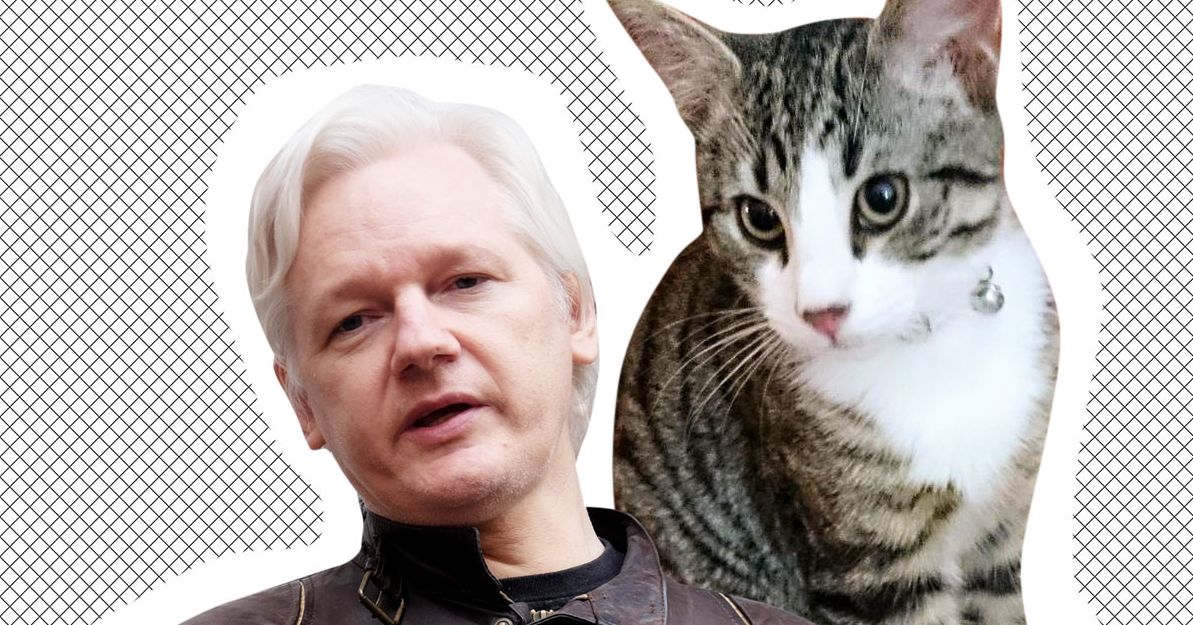 Flipboard: Ecuador warns Assange to obey rules or lose asylum