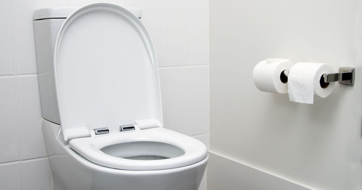 What Makes a Penis Touch the Toilet Bowl?