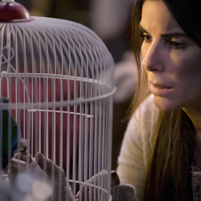 'Bird Box.'