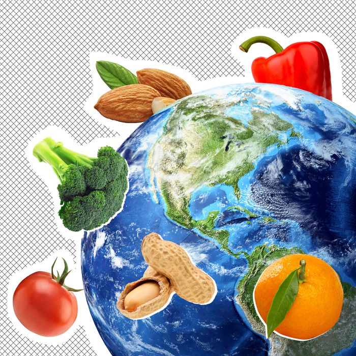 What Is the Planetary Health Diet?