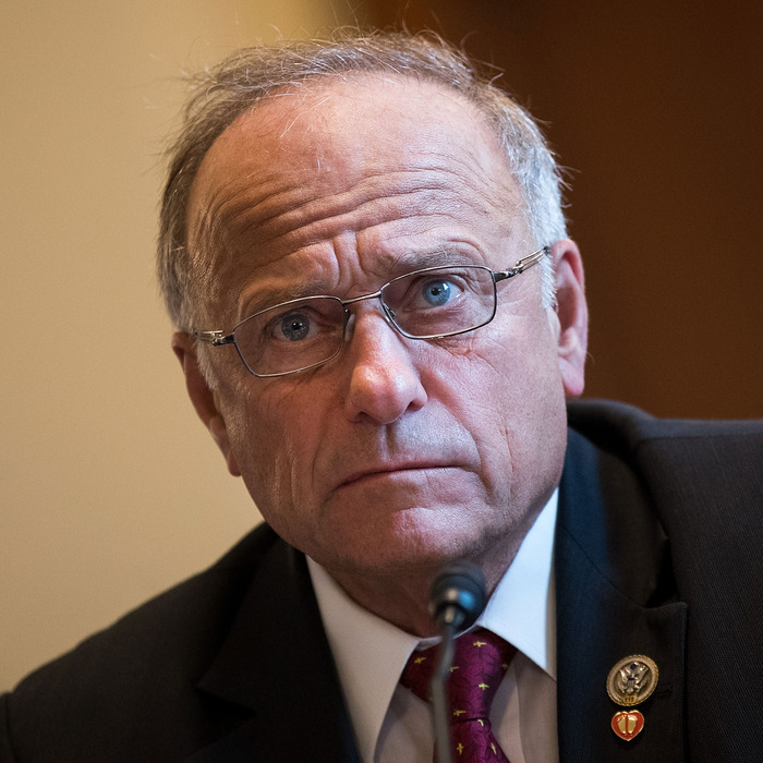 Representative Steve King.