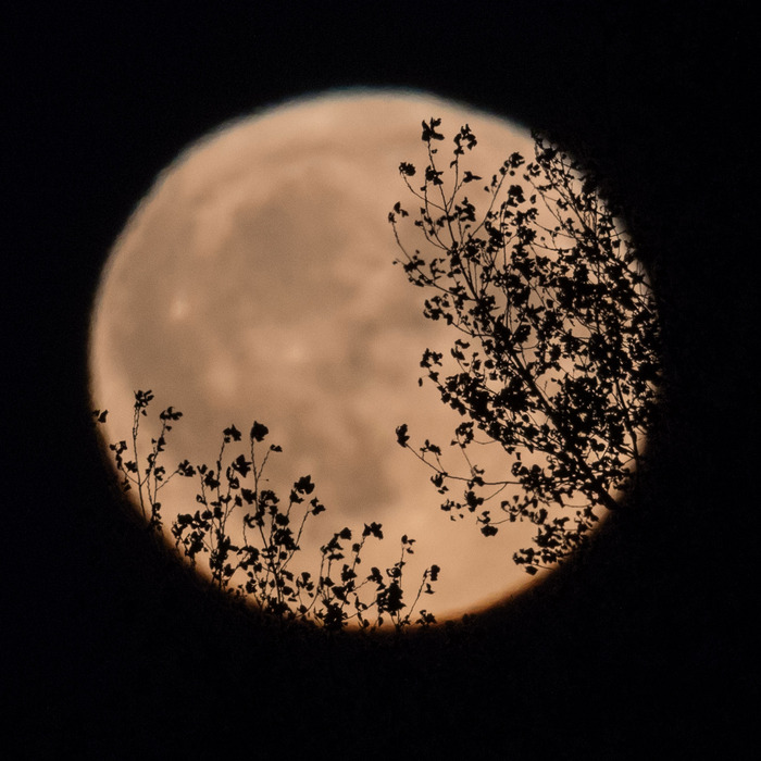 Our beautiful, powerful moon.