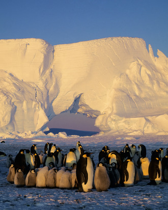 Antarctica.