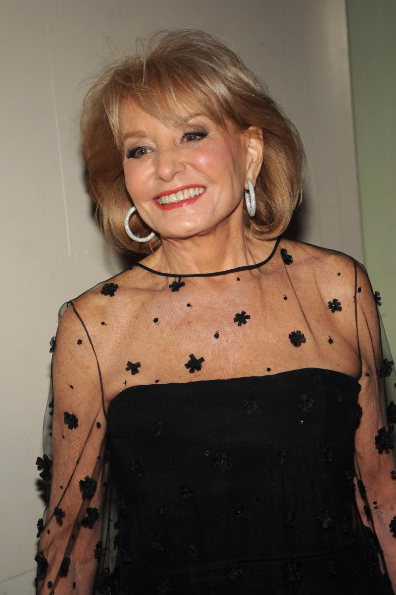 February 2008 - Barbara Walters: A Hair Retrospective - The Cut