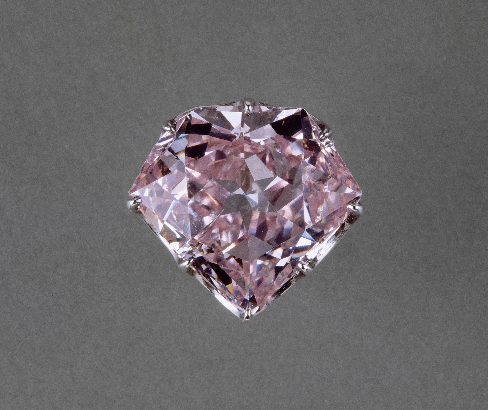 Image result for Hortensia Diamond