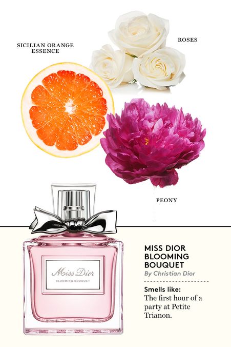 Miss Dior Blooming Bouquet - Spring’s Best New Fragrances - The Cut
