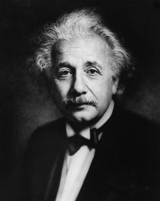 Albert Einstein - The 50 Most Memorable Eyebrows of All Time - The Cut